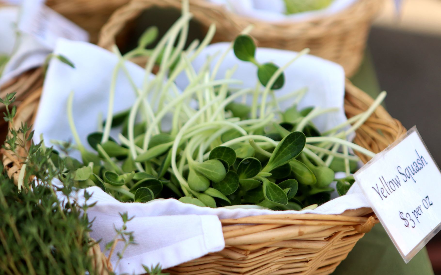 Tower Grove Farmers Market